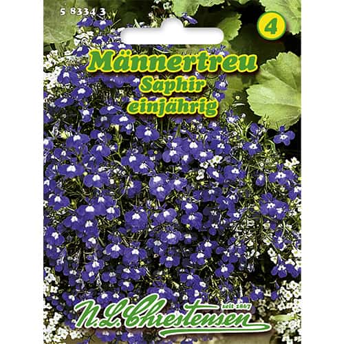 Лобелия Saphir       изображение 1 артикул 86165